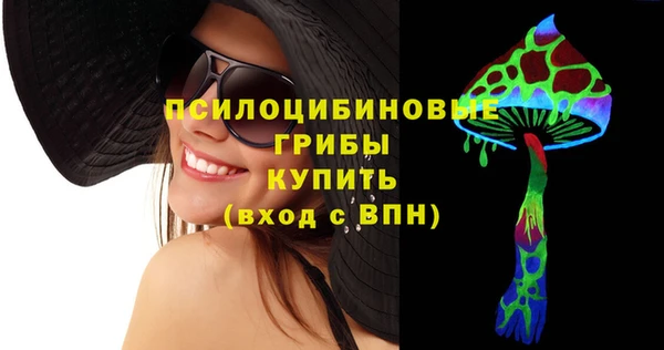 стаф Богородск