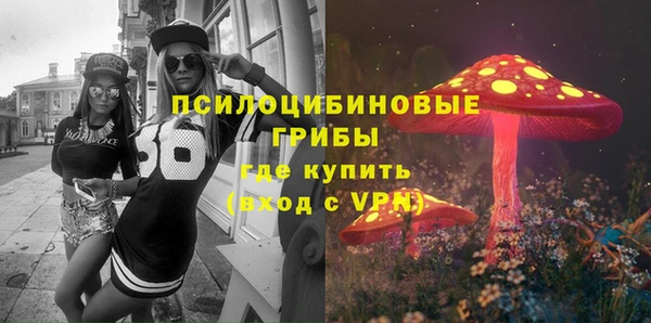 стаф Богородск