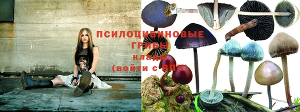 мескалин Богданович