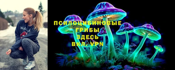 стаф Богородск